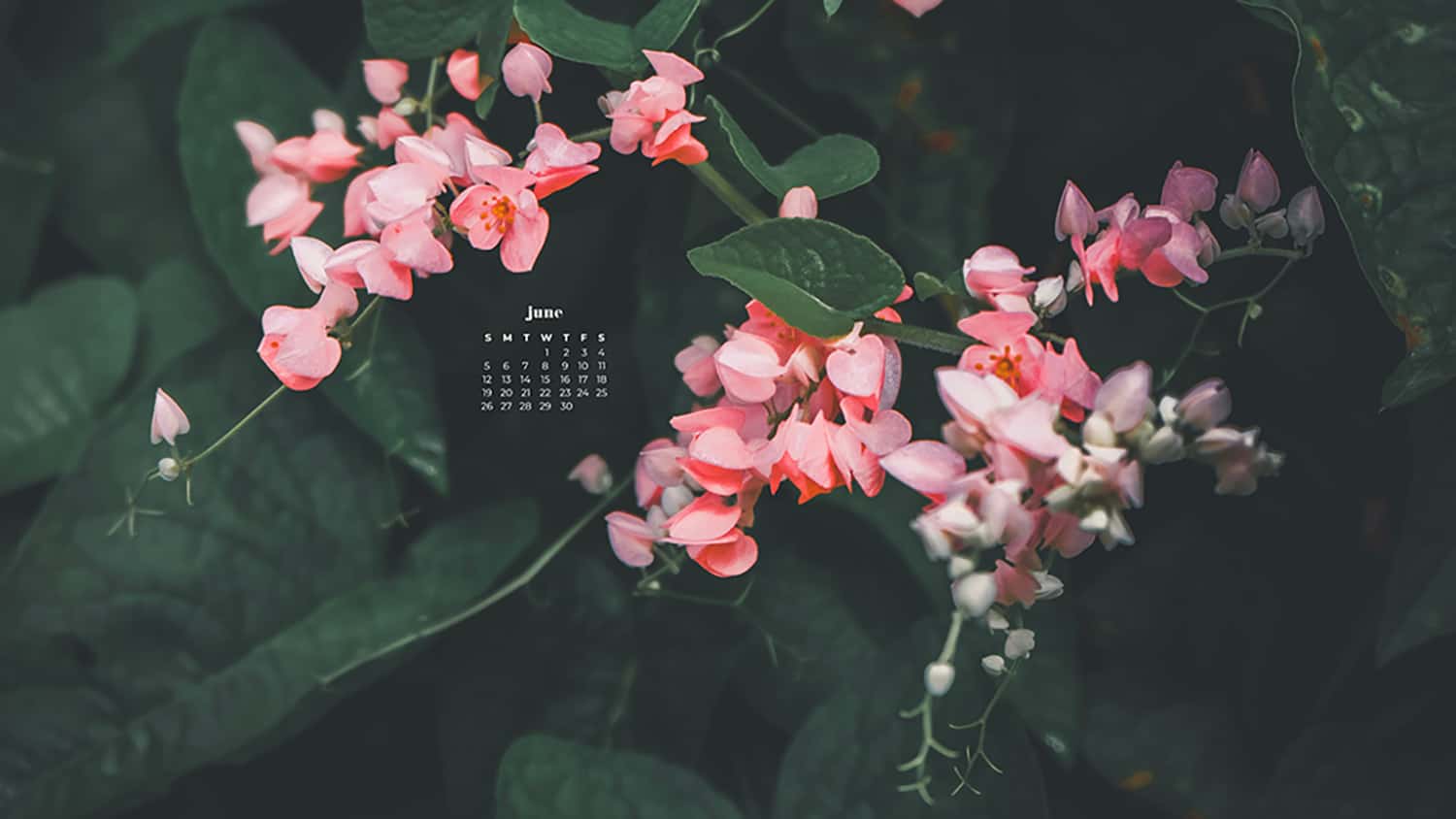 June 2022 wallpapers 55 FREE calendars for your desktop & phone!
