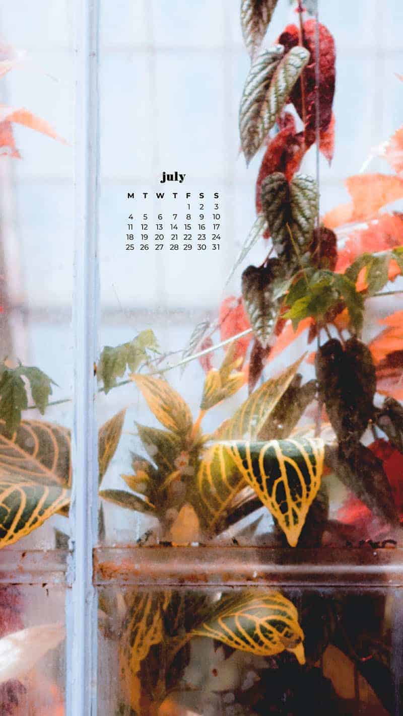 55 FREE JULY 2022 PHONE &#038; DESKTOP WALLPAPER CALENDARS, Oh So Lovely Blog