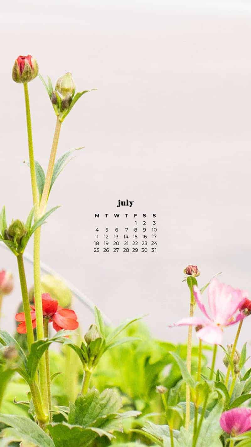 55 FREE JULY 2022 PHONE &#038; DESKTOP WALLPAPER CALENDARS, Oh So Lovely Blog