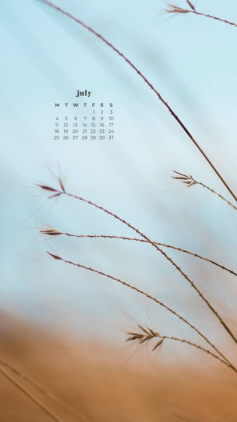 55 FREE JULY 2022 PHONE &#038; DESKTOP WALLPAPER CALENDARS, Oh So Lovely Blog