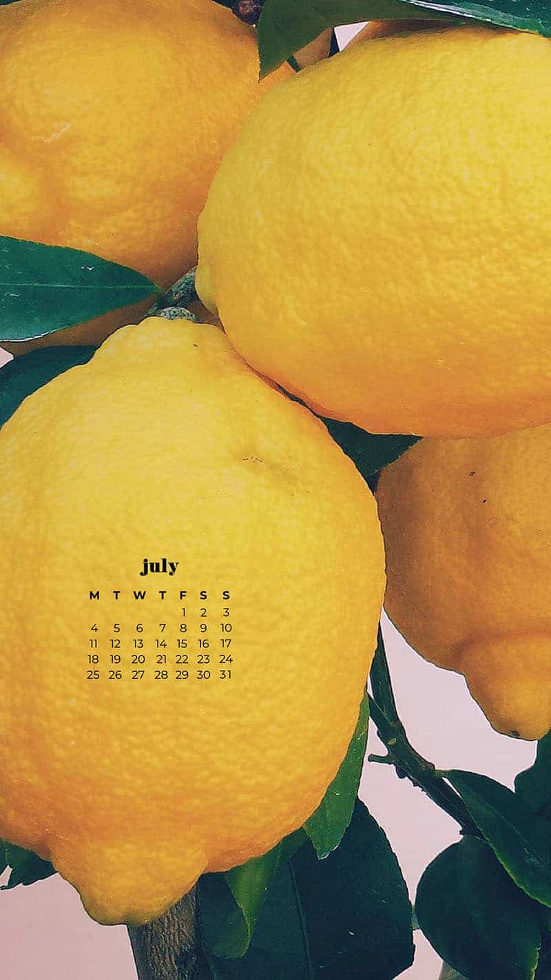 55 FREE JULY 2022 PHONE &#038; DESKTOP WALLPAPER CALENDARS, Oh So Lovely Blog