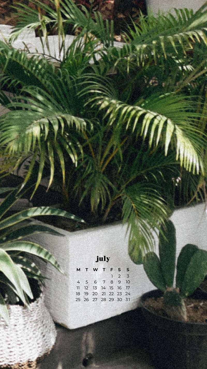 55 FREE JULY 2022 PHONE &#038; DESKTOP WALLPAPER CALENDARS, Oh So Lovely Blog