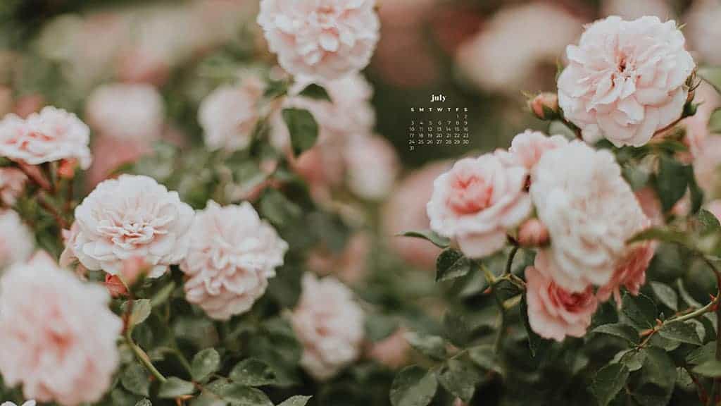 55 FREE JULY 2022 PHONE &#038; DESKTOP WALLPAPER CALENDARS, Oh So Lovely Blog