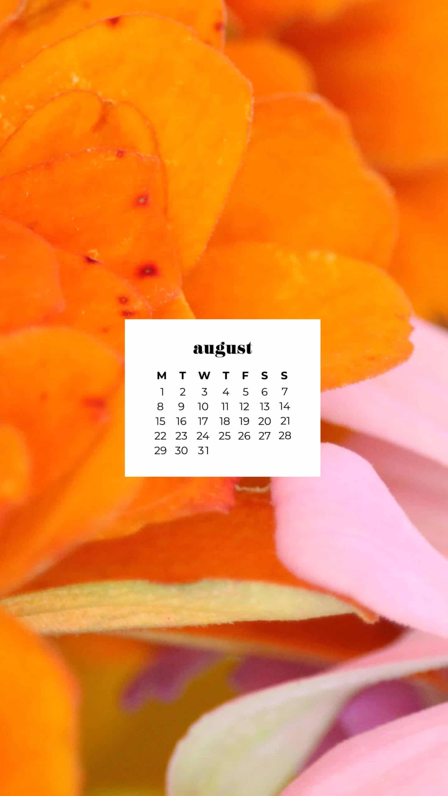 AUGUST 2022 WALLPAPERS – 55 FREE PHONE &#038; DESKTOP CALENDARS, Oh So Lovely Blog