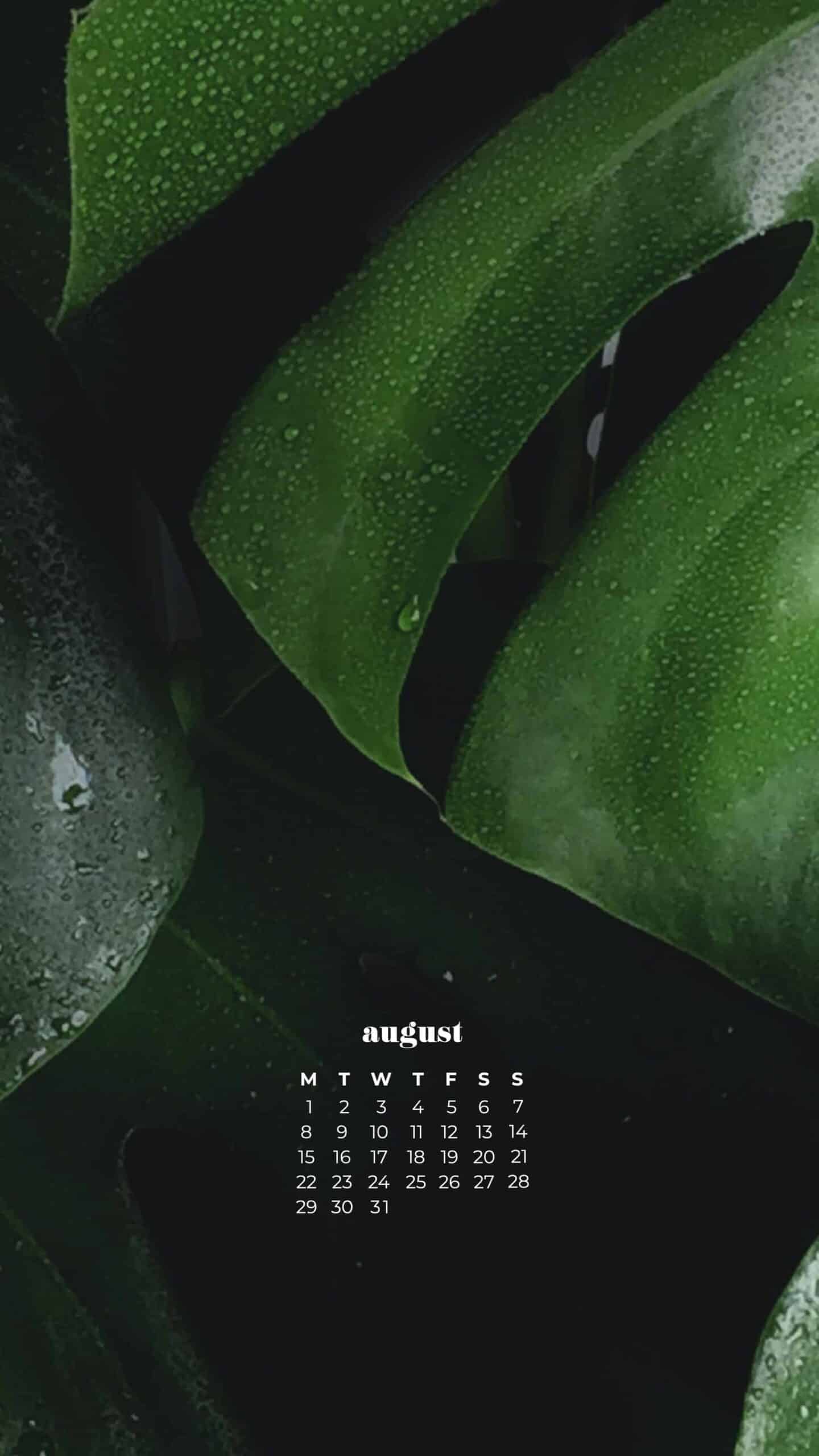 AUGUST 2022 WALLPAPERS – 55 FREE PHONE &#038; DESKTOP CALENDARS, Oh So Lovely Blog