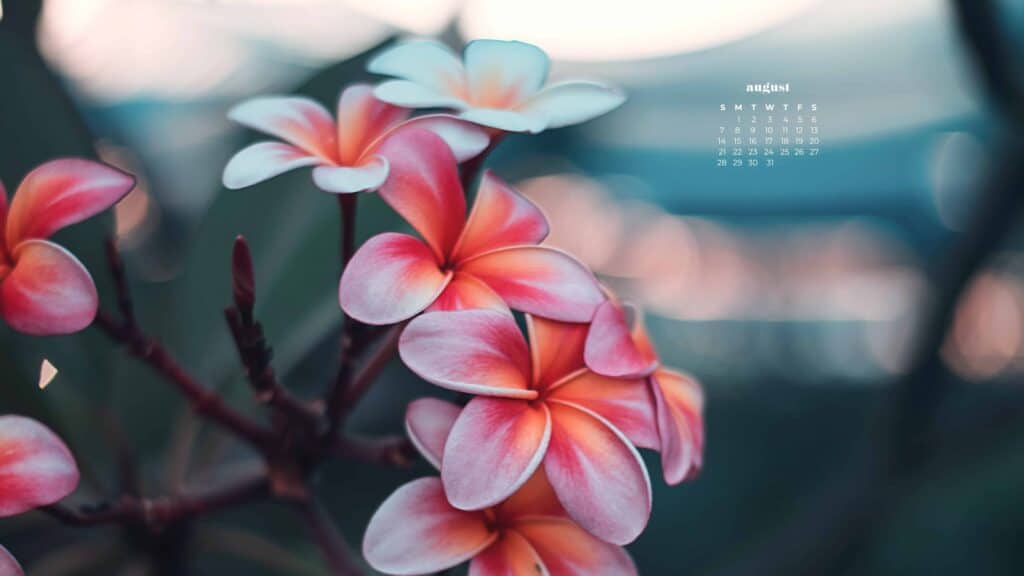 August 2022 desktop calendar wallpaper free laptop pc floral background  images download HD cute  Calendar wallpaper Desktop wallpaper August  calendar