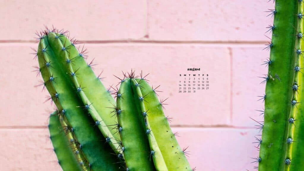 AUGUST 2022 WALLPAPERS – 55 FREE PHONE &#038; DESKTOP CALENDARS, Oh So Lovely Blog