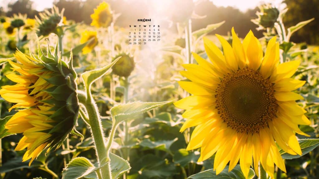 AUGUST 2022 WALLPAPERS – 55 FREE PHONE &#038; DESKTOP CALENDARS, Oh So Lovely Blog