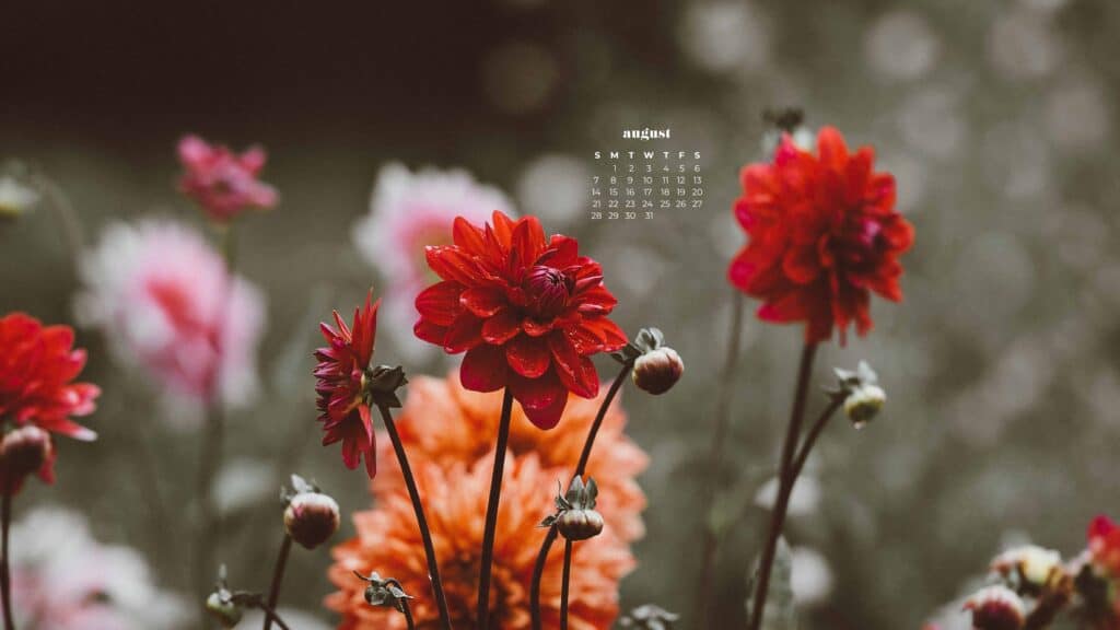 AUGUST 2022 WALLPAPERS – 55 FREE PHONE &#038; DESKTOP CALENDARS, Oh So Lovely Blog