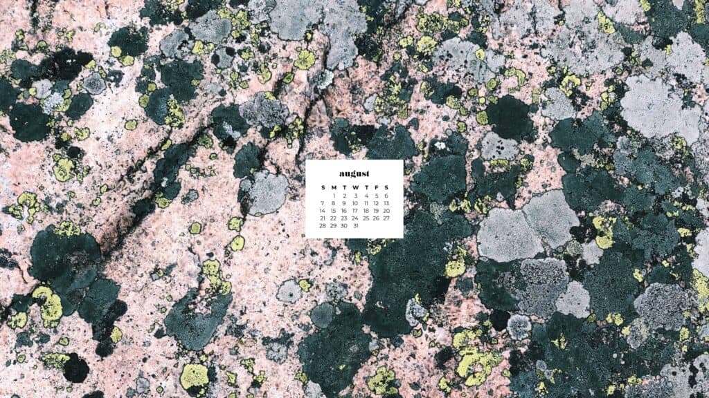 AUGUST 2022 WALLPAPERS – 55 FREE PHONE &#038; DESKTOP CALENDARS, Oh So Lovely Blog