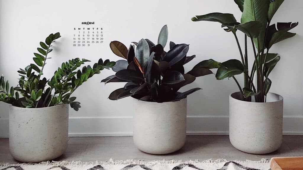 AUGUST 2022 WALLPAPERS – 55 FREE PHONE &#038; DESKTOP CALENDARS, Oh So Lovely Blog