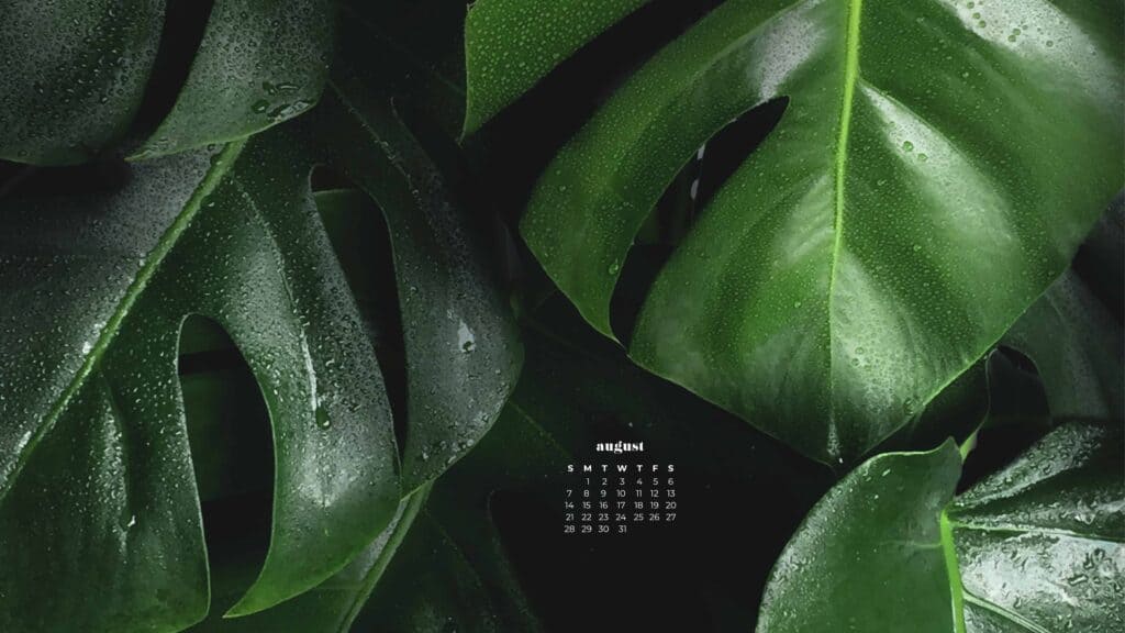 AUGUST 2022 WALLPAPERS – 55 FREE PHONE &#038; DESKTOP CALENDARS, Oh So Lovely Blog