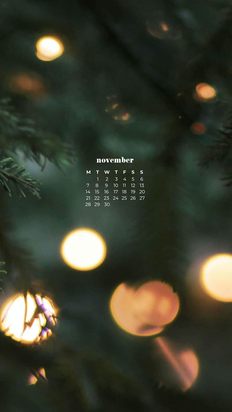 closeup of outdoor pine tree with glowy bokeh white lights November 2022 wallpapers – FREE calendars in Sunday & Monday starts + no-calendar designs. 59 beautiful options for desktop & smart phones!