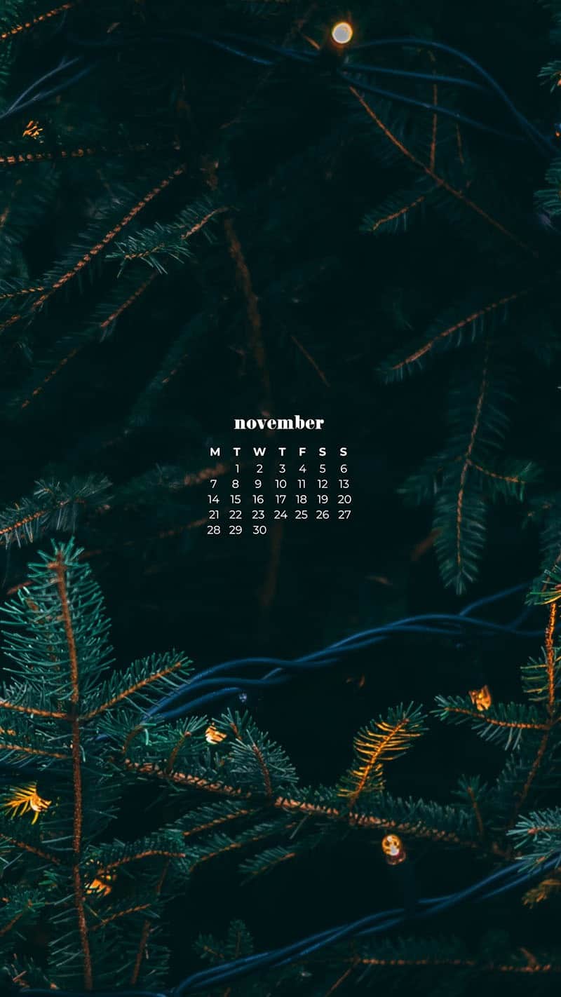  outdoor pine tree with glowy bokeh white lights November 2022 wallpapers – FREE calendars in Sunday & Monday starts + no-calendar designs. 59 beautiful options for desktop & smart phones!