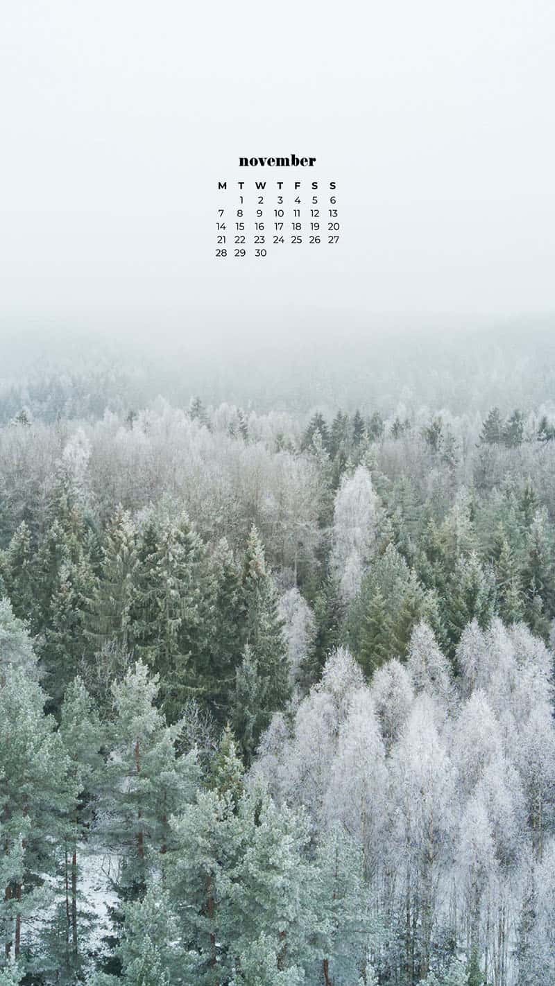 beautiful aerial scenic landscape frost on the evergreen and pine trees November 2022 wallpapers – FREE calendars in Sunday & Monday starts + no-calendar designs. 59 beautiful options for desktop & smart phones!