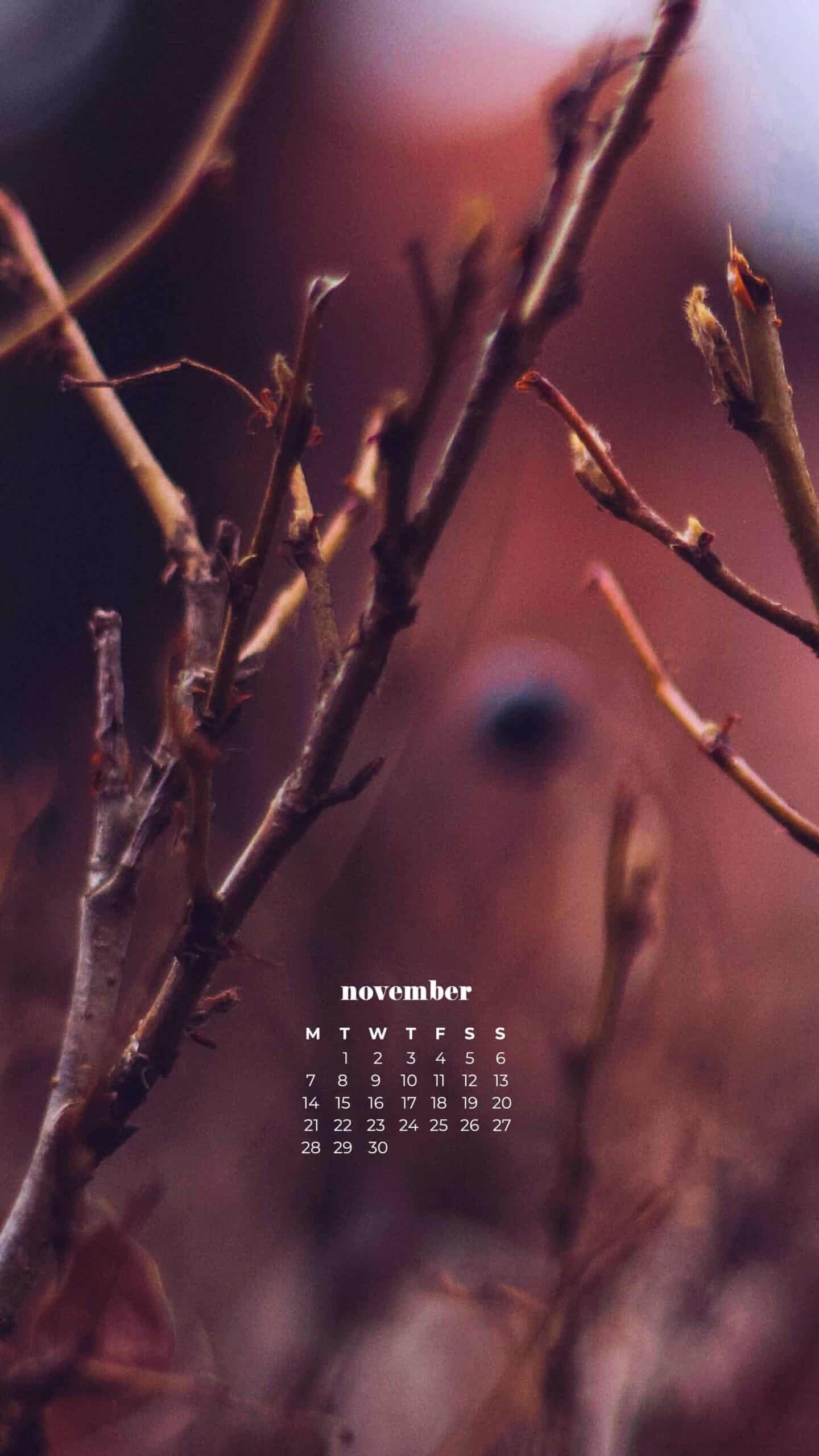 field at dusk with closeup of autumn blueberries with blurred bokeh background November 2022 wallpapers – FREE calendars in Sunday & Monday starts + no-calendar designs. 59 beautiful options for desktop & smart phones!