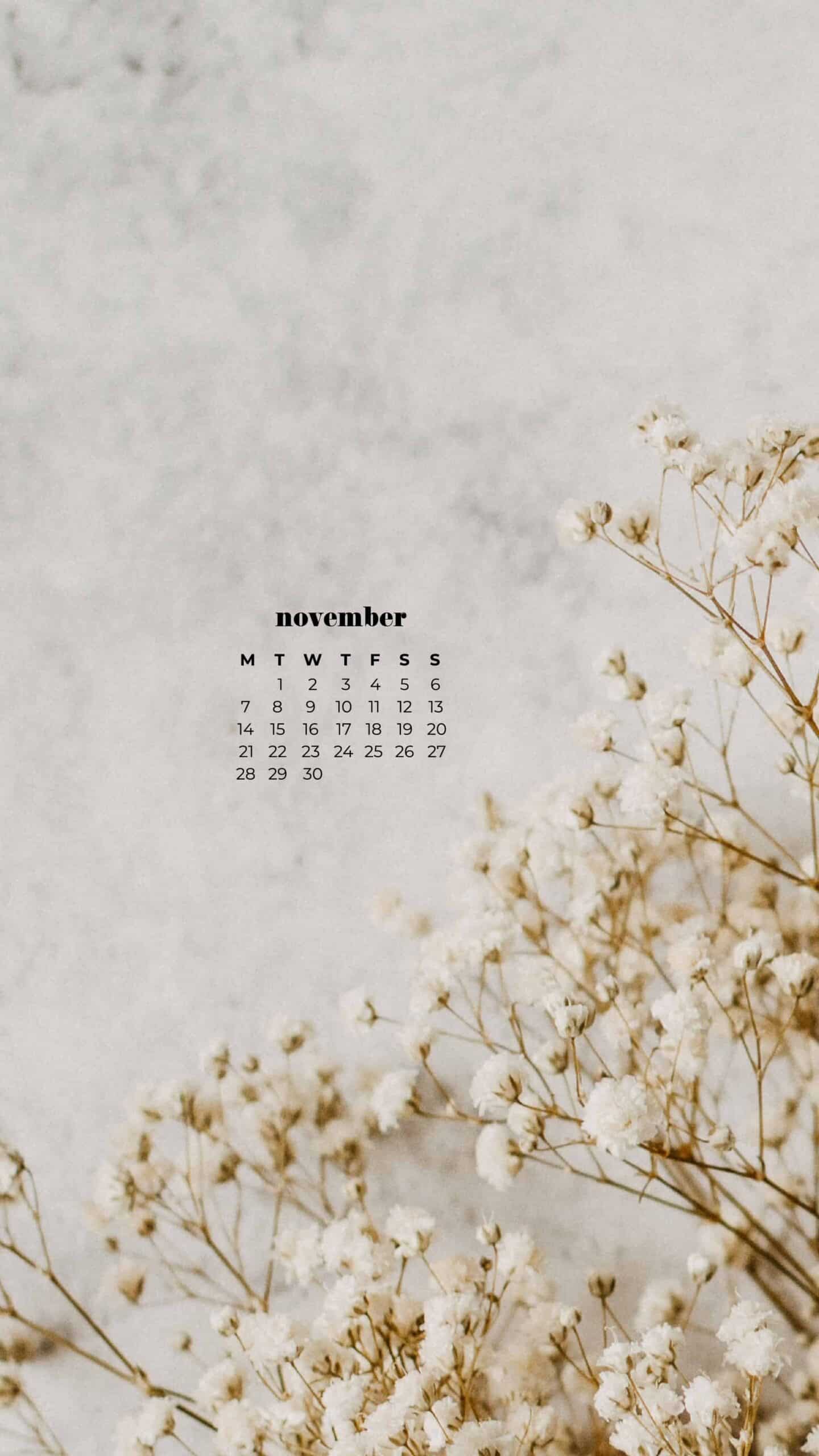 cream baby's breath on a light marble background, neutral and simple for fall November 2022 wallpapers – FREE calendars in Sunday & Monday starts + no-calendar designs. 59 beautiful options for desktop & smart phones!