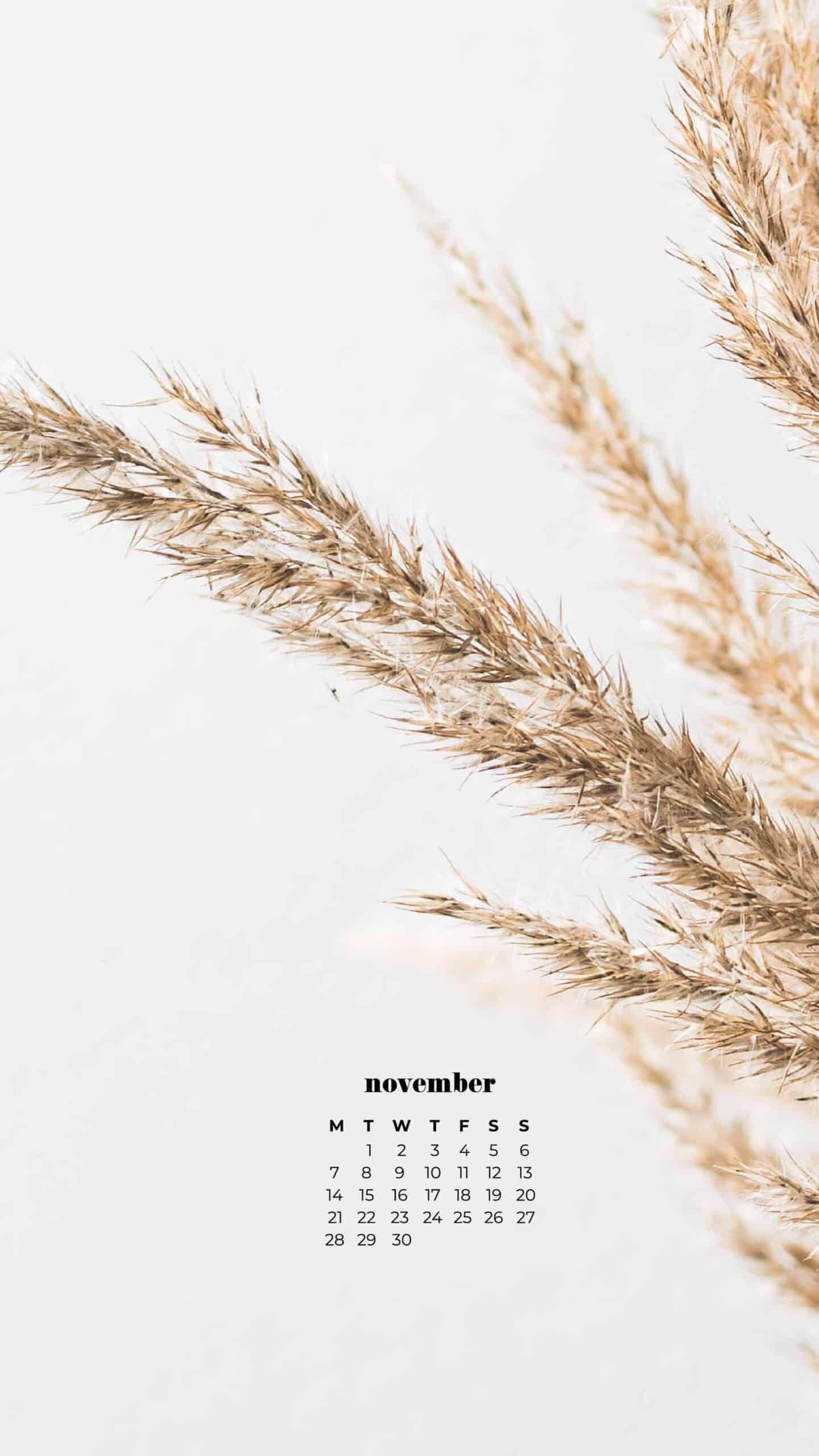 wheat on a lightbackground, neutral and simple for fall November 2022 wallpapers – FREE calendars in Sunday & Monday starts + no-calendar designs. 59 beautiful options for desktop & smart phones!