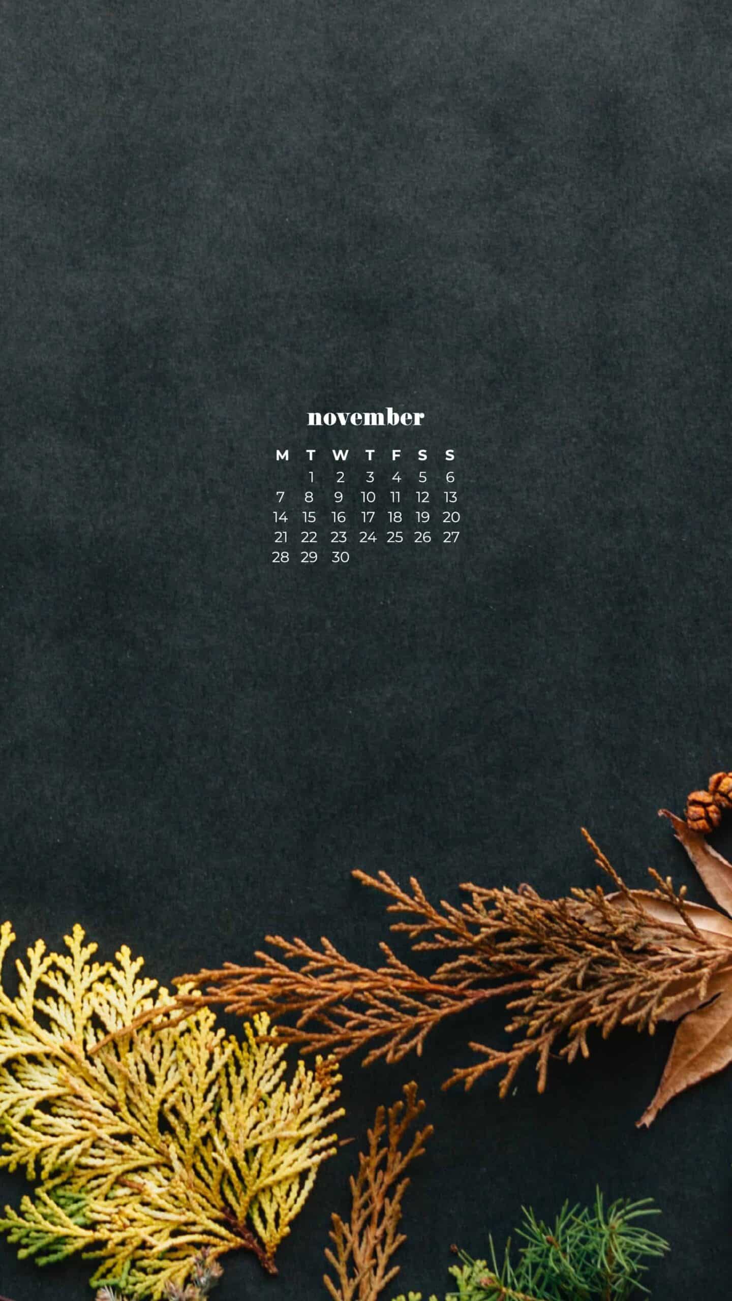 charcoal textured background with a flat lay of fall and autumn foliage, plants, leaves in earthy colors November 2022 wallpapers – FREE calendars in Sunday & Monday starts + no-calendar designs. 59 beautiful options for desktop & smart phones!