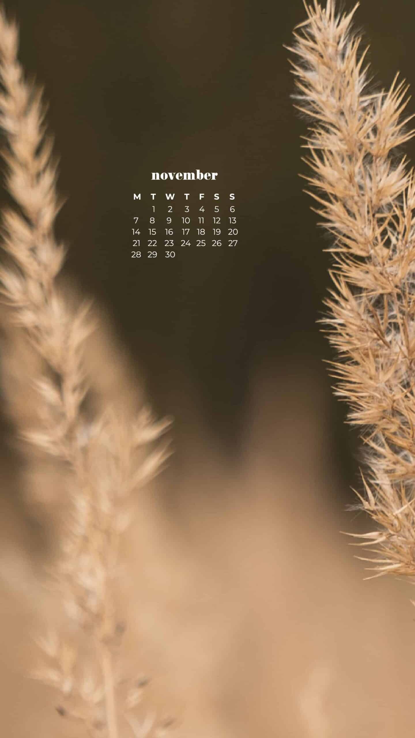 wheat in a field with blurred background, neutral and simple for fall November 2022 wallpapers – FREE calendars in Sunday & Monday starts + no-calendar designs. 59 beautiful options for desktop & smart phones!