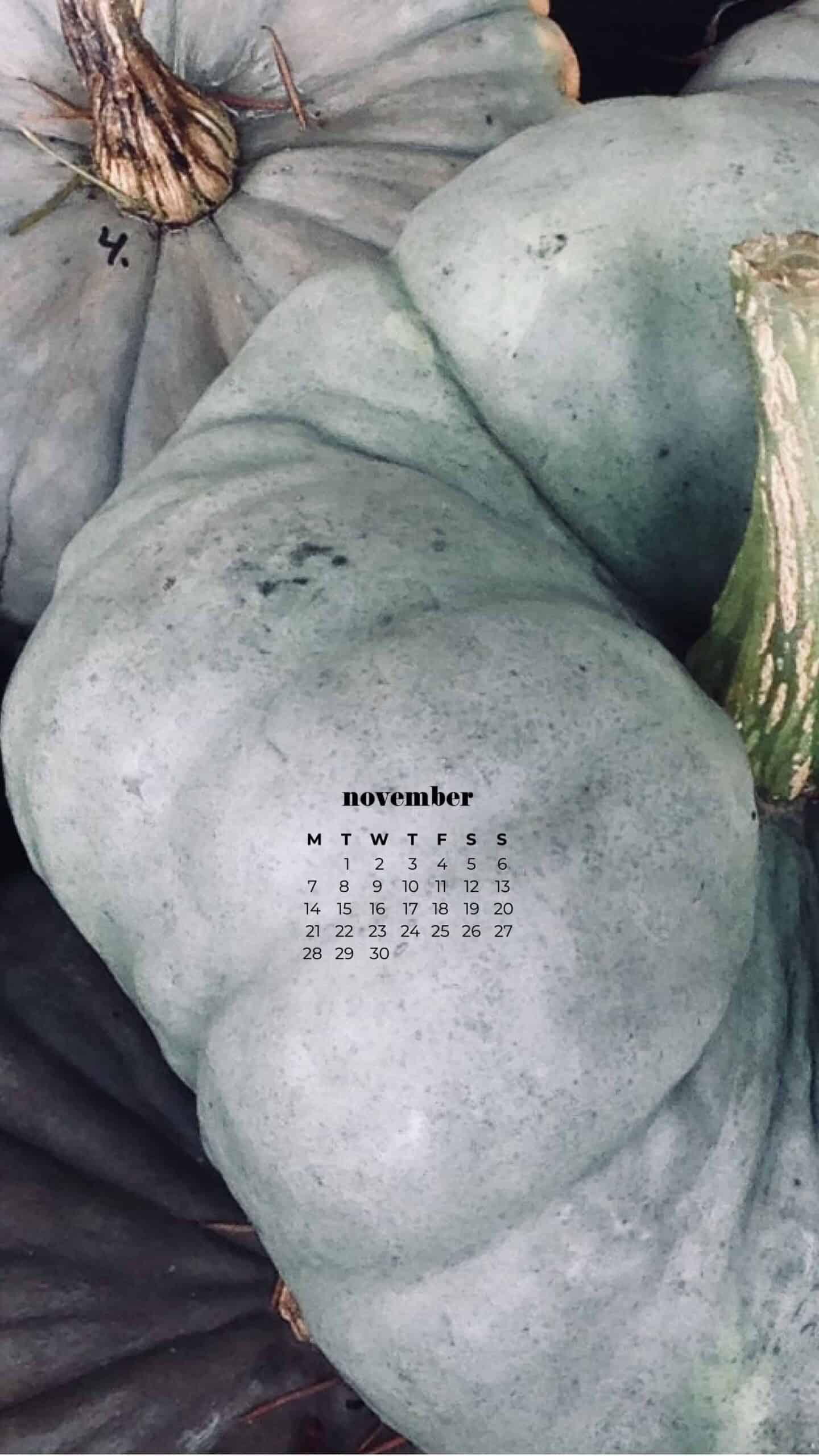 aerial shot of gray and green pumpkins in the fall November 2022 wallpapers – FREE calendars in Sunday & Monday starts + no-calendar designs. 59 beautiful options for desktop & smart phones!