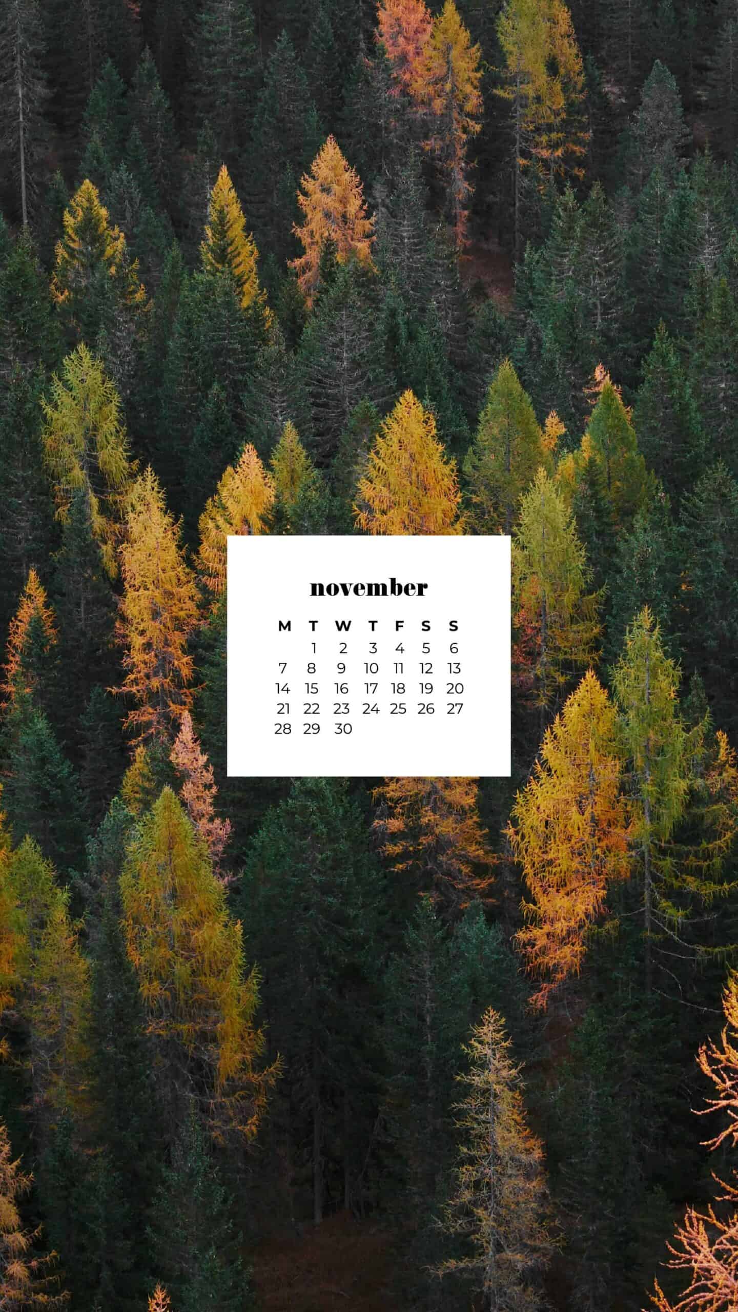 beautiful aerial scenic autumn landscape with colorful trees November 2022 wallpapers – FREE calendars in Sunday & Monday starts + no-calendar designs. 59 beautiful options for desktop & smart phones!