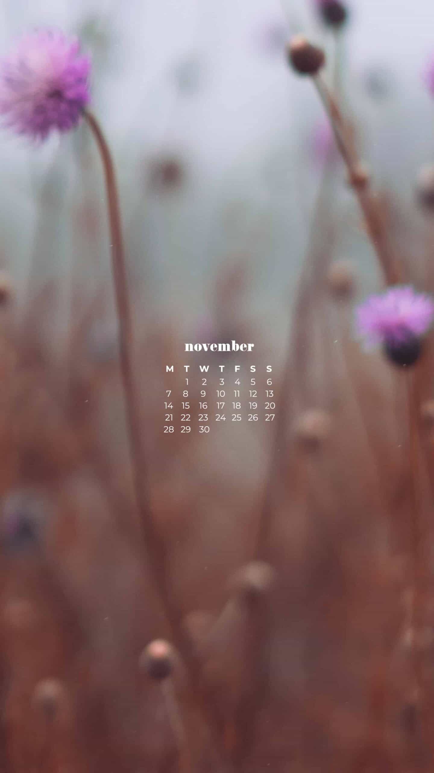 pink wild flowers in a fall field November 2022 wallpapers – FREE calendars in Sunday & Monday starts + no-calendar designs. 59 beautiful options for desktop & smart phones!