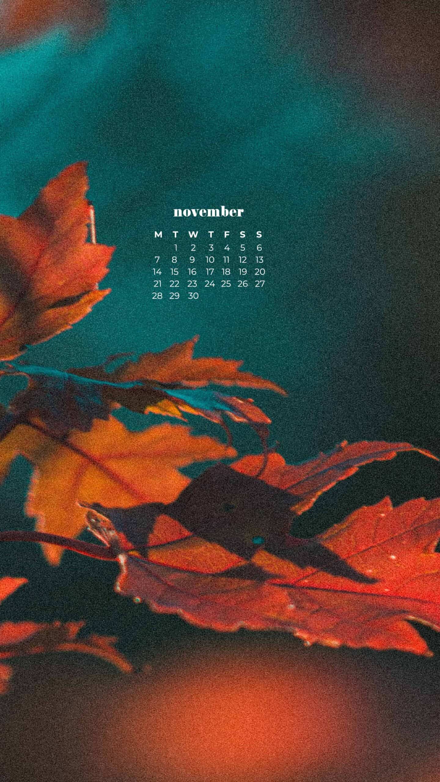 pretty colorful fall leaves on a tree closeup with turquoise bokeh in the background November 2022 wallpapers – FREE calendars in Sunday & Monday starts + no-calendar designs. 59 beautiful options for desktop & smart phones!