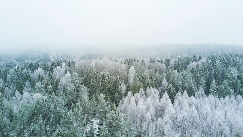 beautiful aerial scenic landscape frost on the evergreen and pine trees November 2022 wallpapers – FREE calendars in Sunday & Monday starts + no-calendar designs. 59 beautiful options for desktop & smart phones!