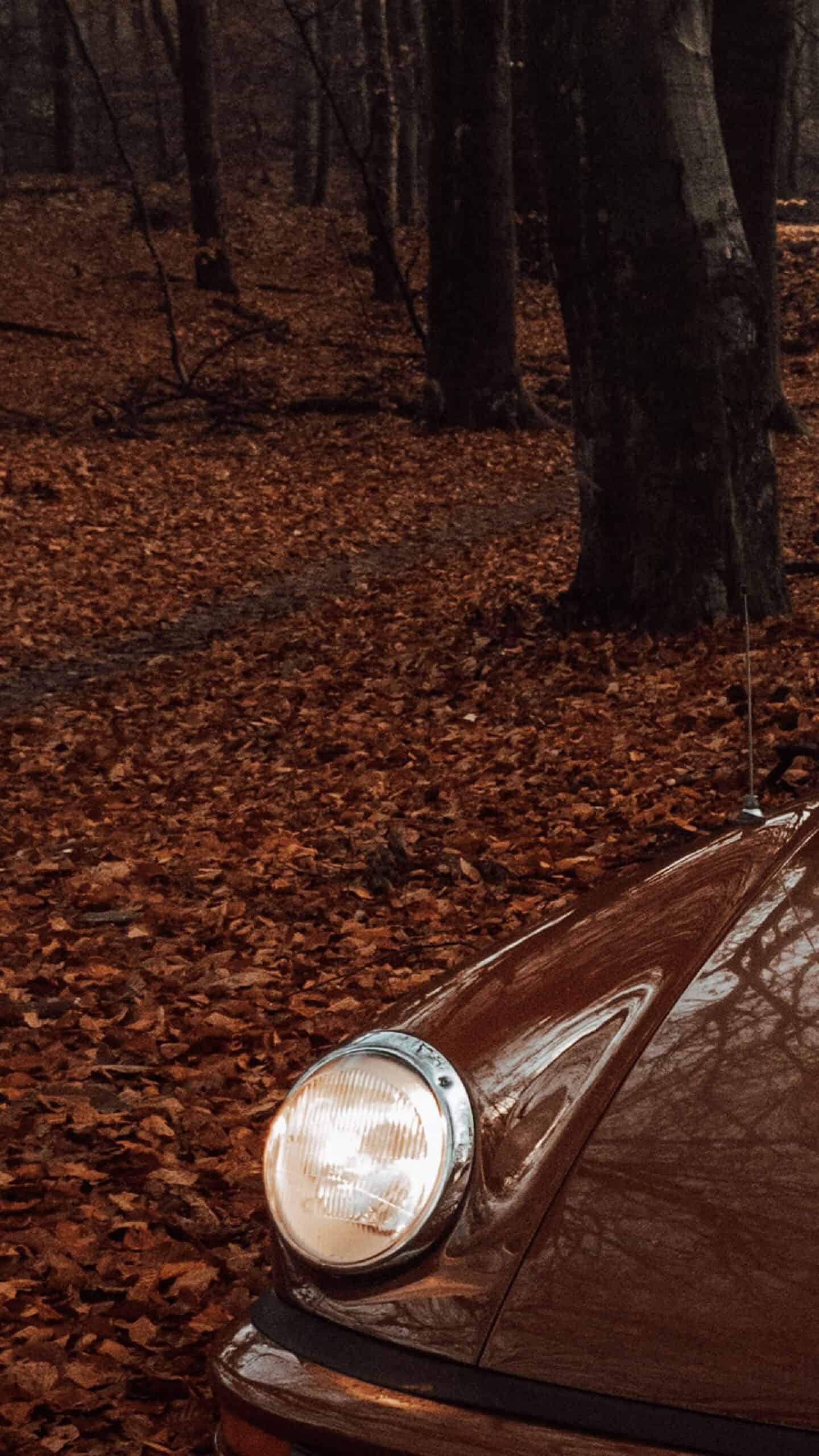 vintage rust colored porche car in a forest with matching colored leaves on ground - monochromatic autumn fall shot November 2022 wallpapers – FREE calendars in Sunday & Monday starts + no-calendar designs. 59 beautiful options for desktop & smart phones!