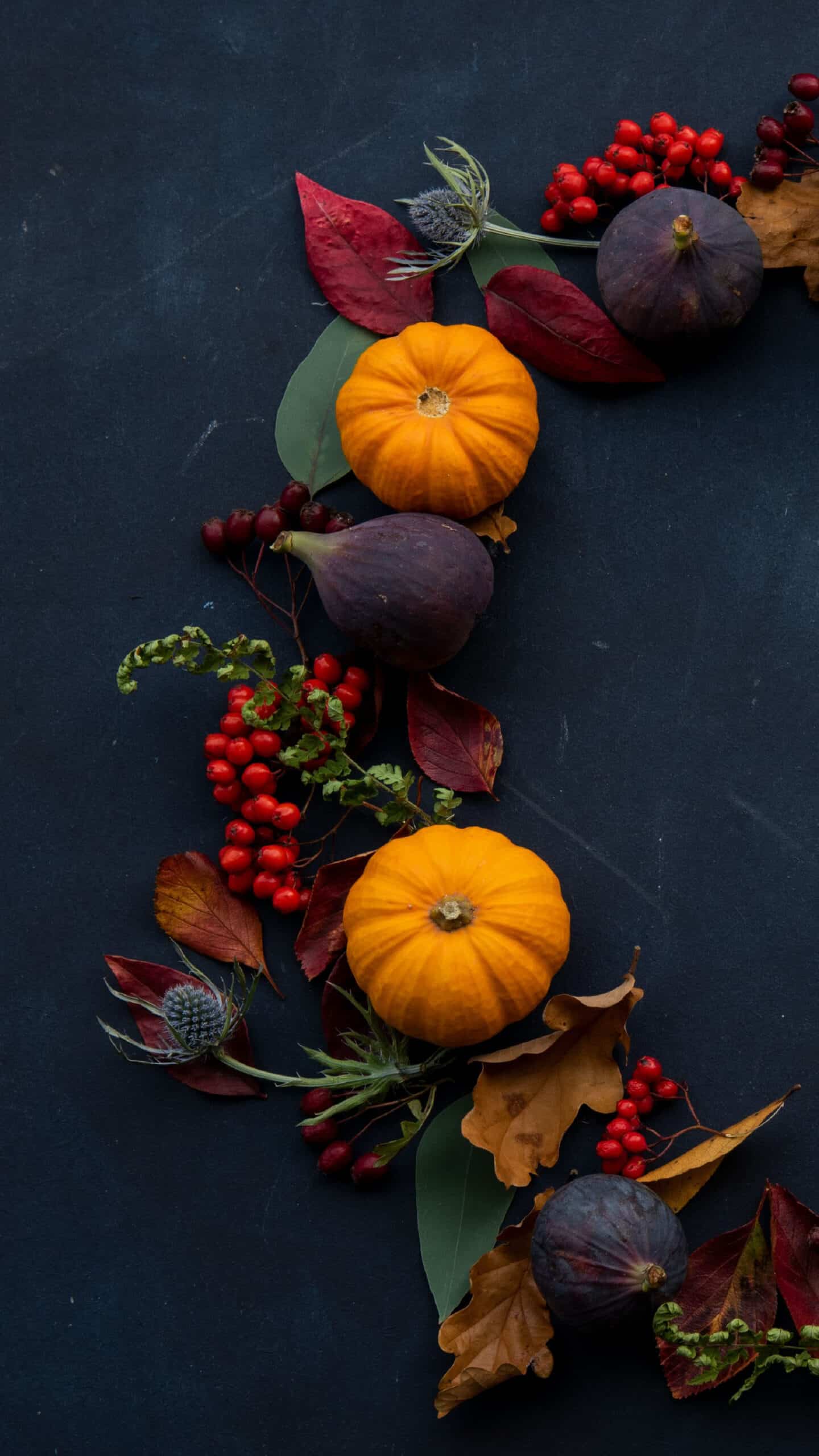 navy background with colorful pumpkins, berries, and fall foliage in a circle wreath flat lay - thanksgiving inspired shot November 2022 wallpapers – FREE calendars in Sunday & Monday starts + no-calendar designs. 59 beautiful options for desktop & smart phones!