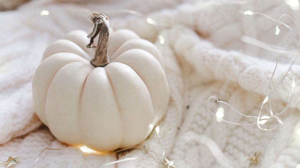 white soft blanket with a white pumpkin and fairy lights, cozy neutral scene on a fall autumn day November 2022 wallpapers – FREE calendars in Sunday & Monday starts + no-calendar designs. 59 beautiful options for desktop & smart phones!