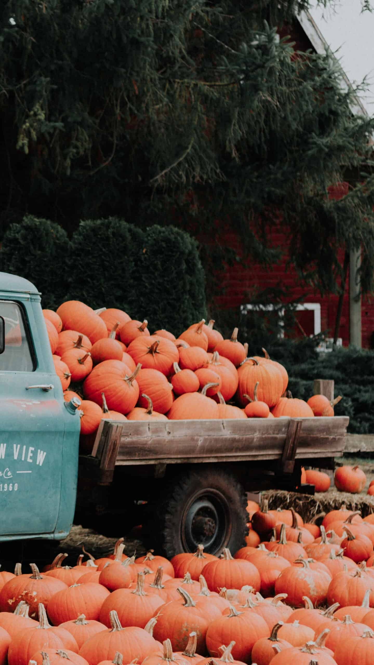 aqua vintage truck with orange pumpkins in the back and on the ground by a red barn fall scene November 2022 wallpapers – FREE calendars in Sunday & Monday starts + no-calendar designs. 59 beautiful options for desktop & smart phones!