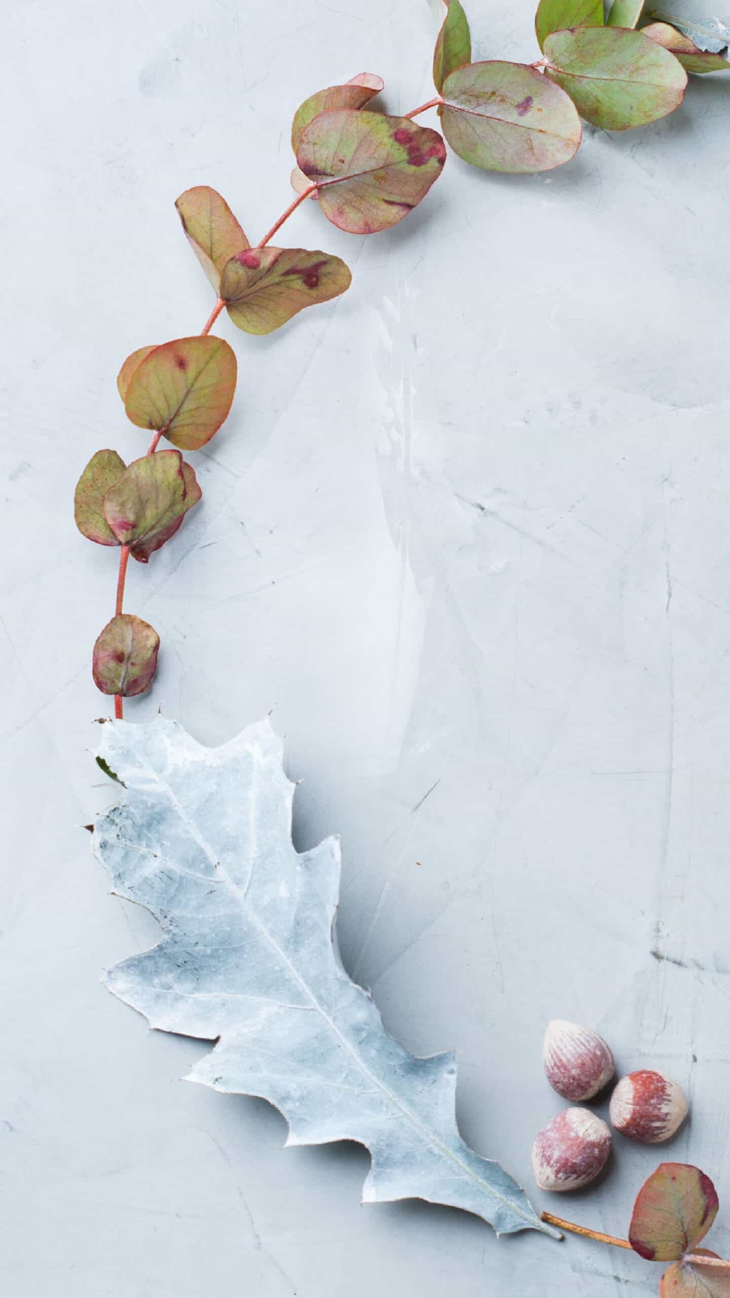 autumn fall laurel design on a white textured table with fall berries and foliage making a circle flat lay November 2022 wallpapers – FREE calendars in Sunday & Monday starts + no-calendar designs. 59 beautiful options for desktop & smart phones!