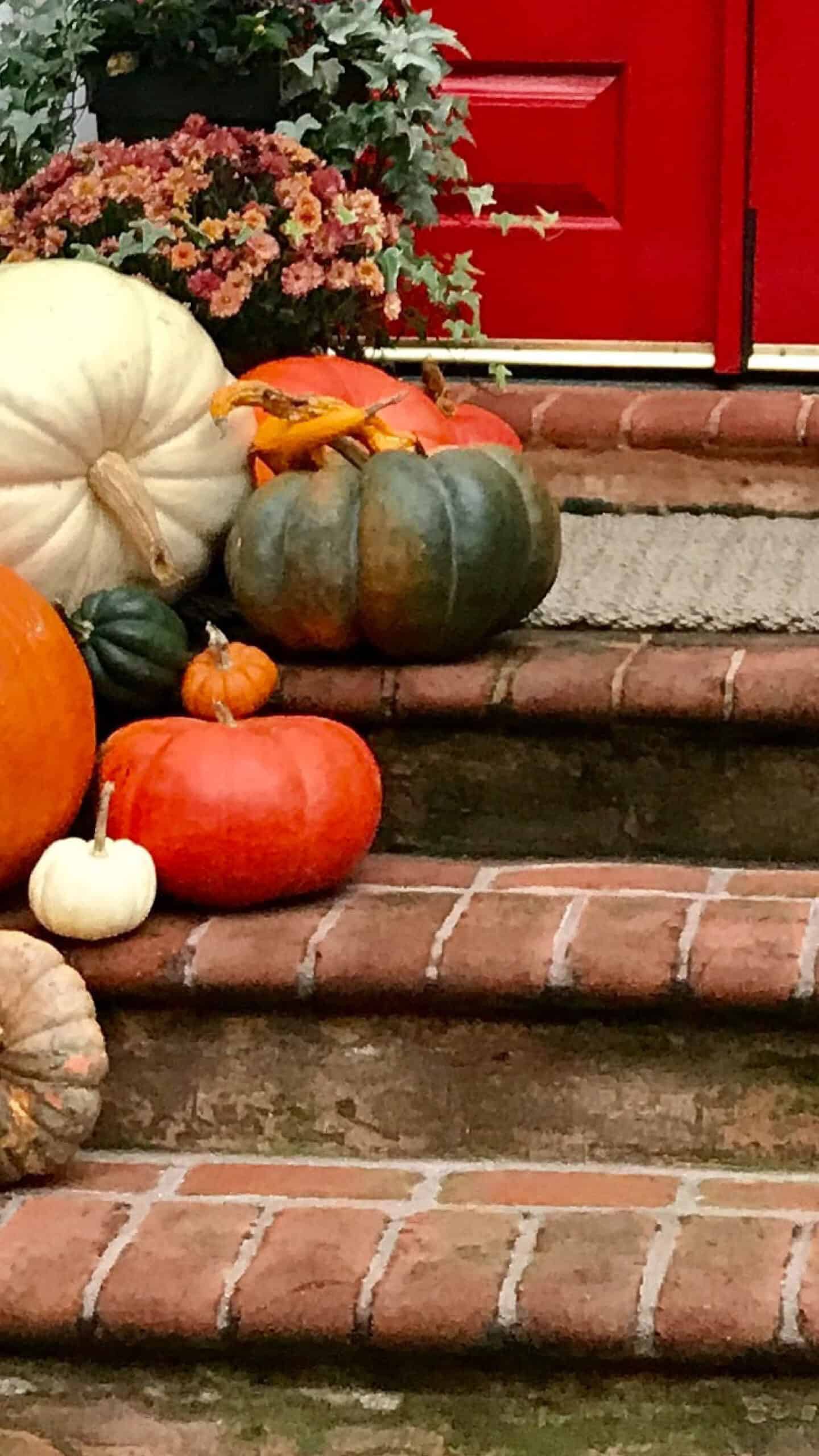 colorful pumpkins on front porch of a white house with a red door November 2022 wallpapers – FREE calendars in Sunday & Monday starts + no-calendar designs. 59 beautiful options for desktop & smart phones!