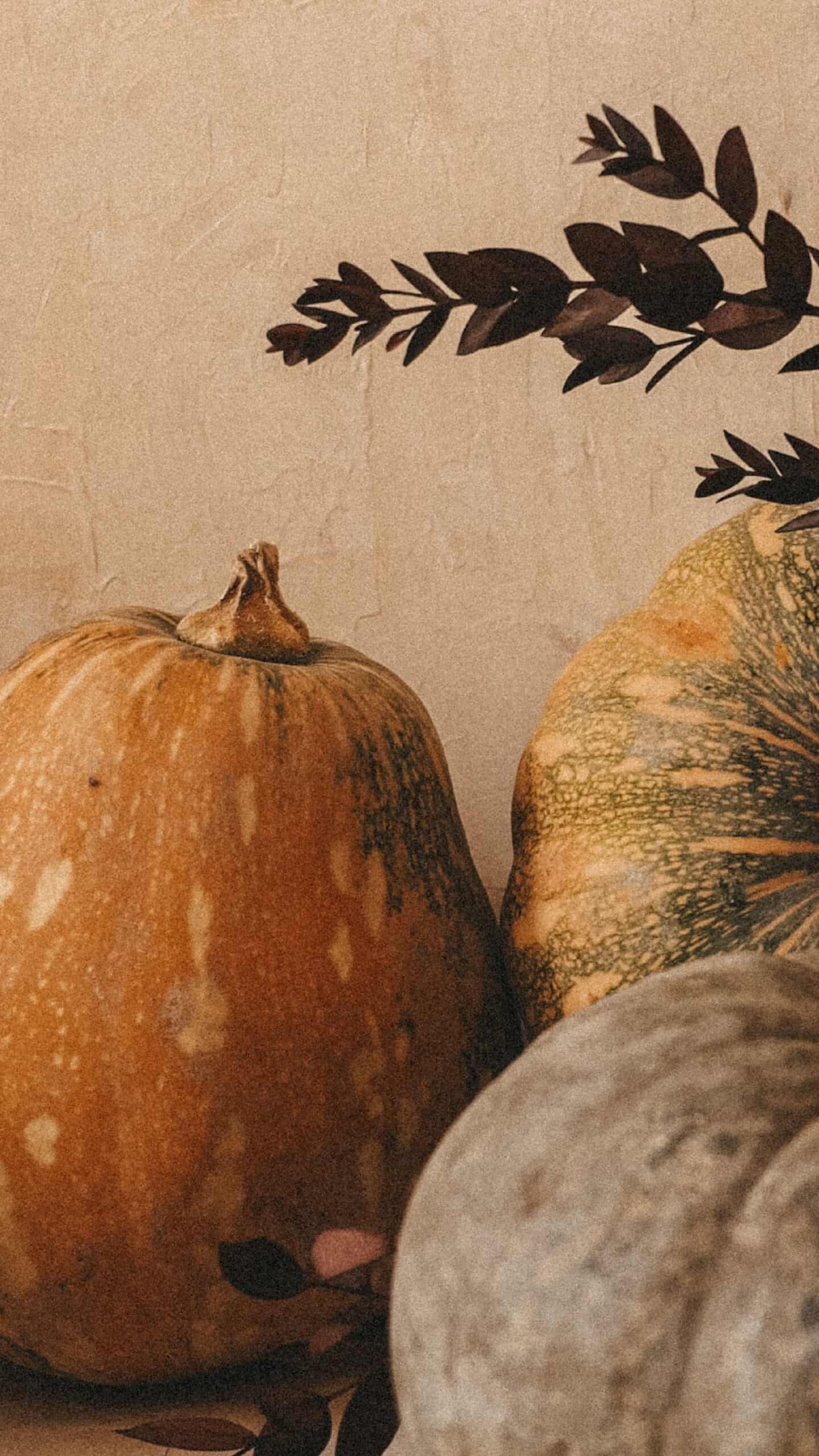 neutral textured background with muted orange, yellow, and green pumpkins and fall foliage November 2022 wallpapers – FREE calendars in Sunday & Monday starts + no-calendar designs. 59 beautiful options for desktop & smart phones!