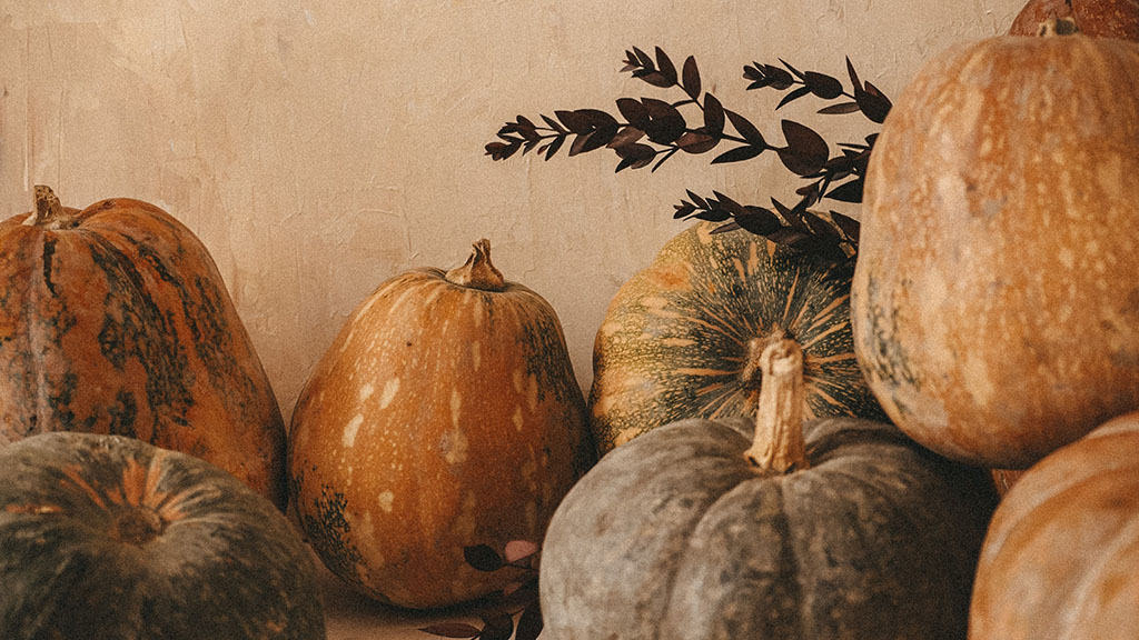 neutral textured background with muted orange, yellow, and green pumpkins and fall foliage November 2022 wallpapers – FREE calendars in Sunday & Monday starts + no-calendar designs. 59 beautiful options for desktop & smart phones!