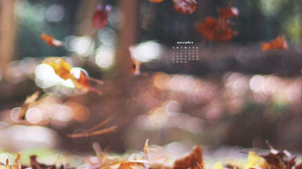 fall autumn leaves falling with blurred background November 2022 wallpapers – FREE calendars in Sunday & Monday starts + no-calendar designs. 59 beautiful options for desktop & smart phones!