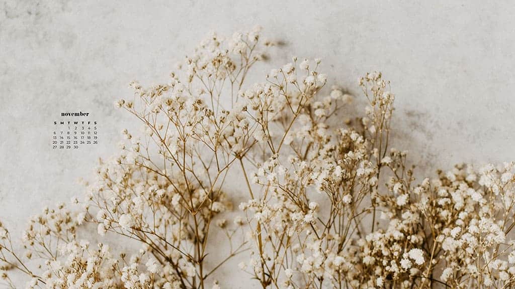 cream baby's breath on a light marble background, neutral and simple for fall November 2022 wallpapers – FREE calendars in Sunday & Monday starts + no-calendar designs. 59 beautiful options for desktop & smart phones!