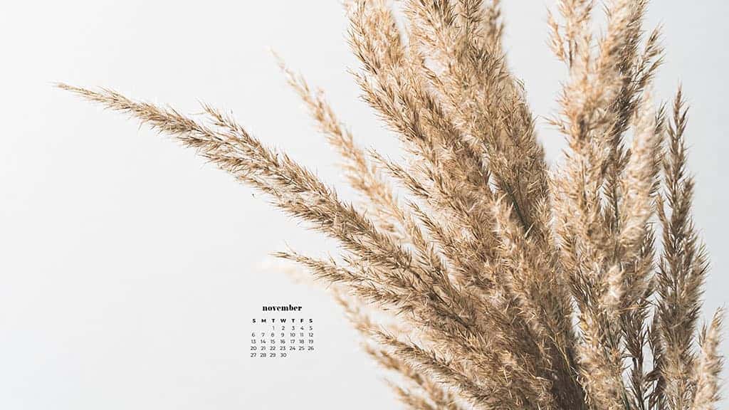 wheat on a light background, neutral and simple for fall November 2022 wallpapers – FREE calendars in Sunday & Monday starts + no-calendar designs. 59 beautiful options for desktop & smart phones!