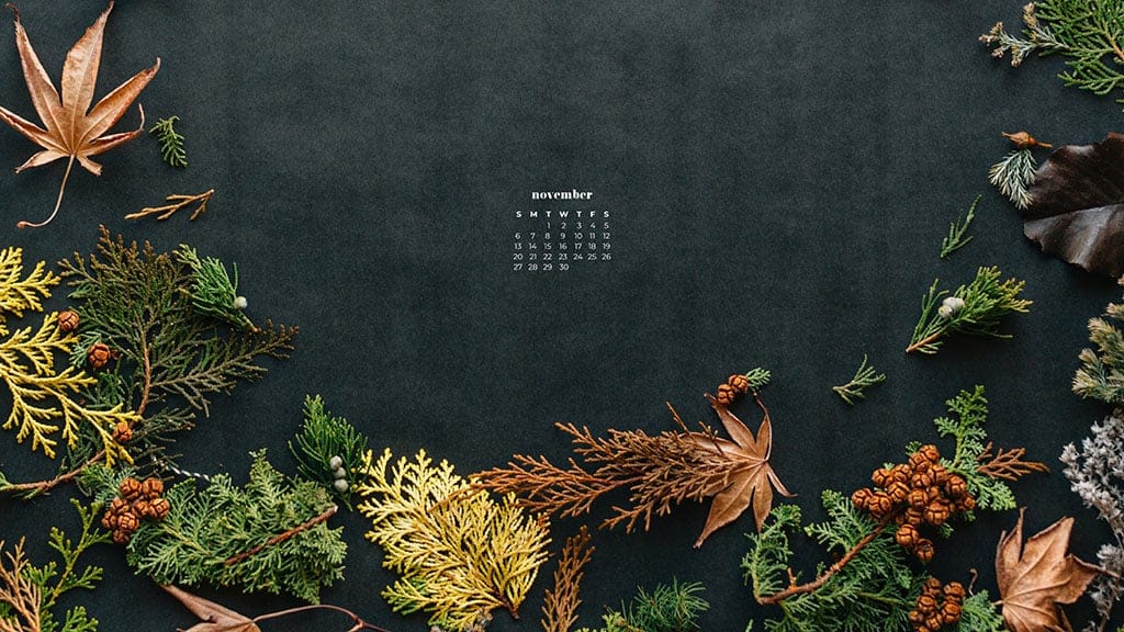 charcoal textured background with a flat lay of fall and autumn foliage, plants, leaves in earthy colors November 2022 wallpapers – FREE calendars in Sunday & Monday starts + no-calendar designs. 59 beautiful options for desktop & smart phones!