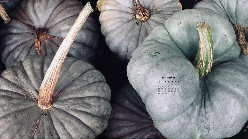 aerial shot of gray and green pumpkins in the fall November 2022 wallpapers – FREE calendars in Sunday & Monday starts + no-calendar designs. 59 beautiful options for desktop & smart phones!