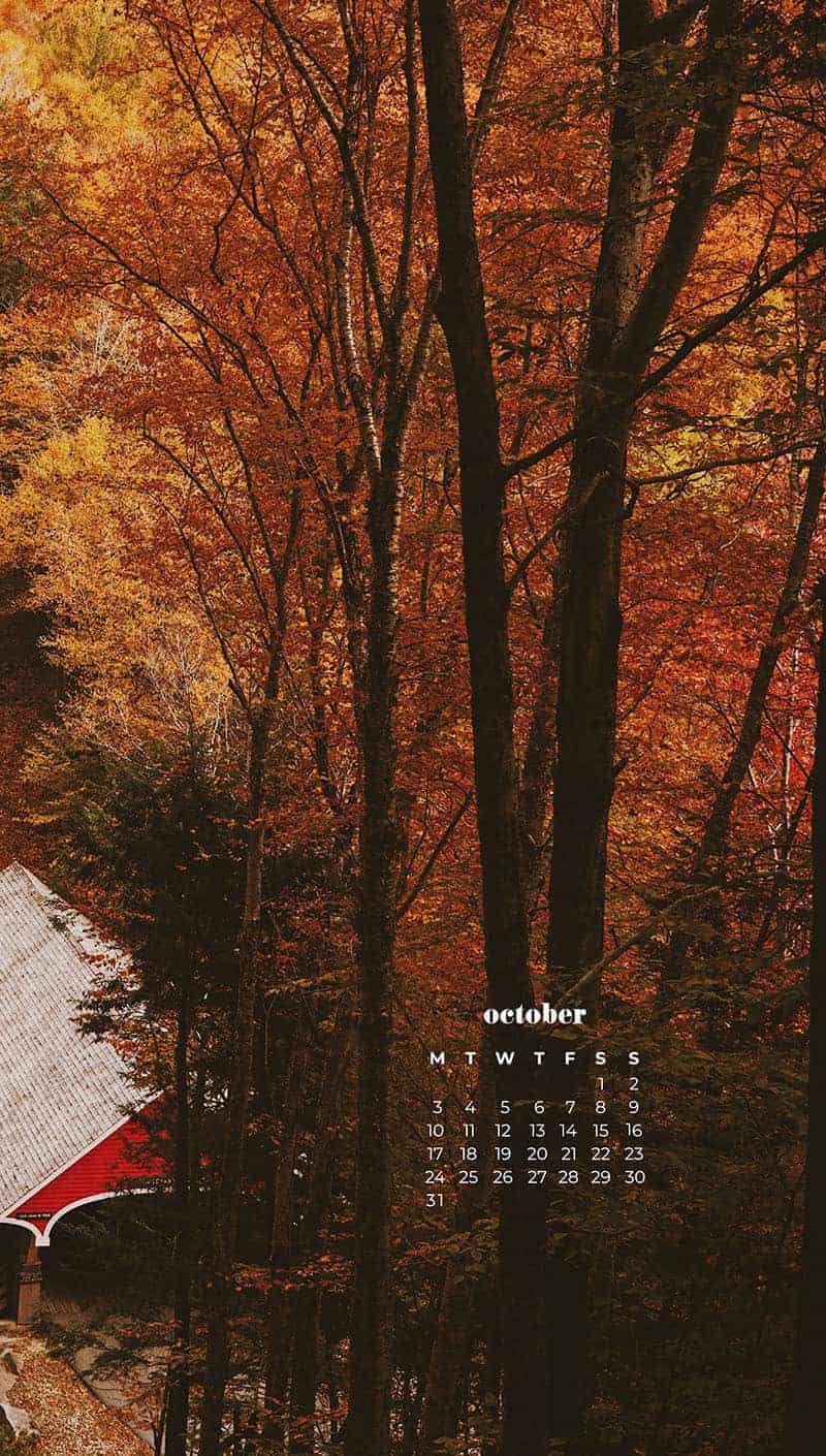 OCTOBER 2022 WALLPAPERS – 55 FREE PHONE &#038; DESKTOP CALENDARS, Oh So Lovely Blog