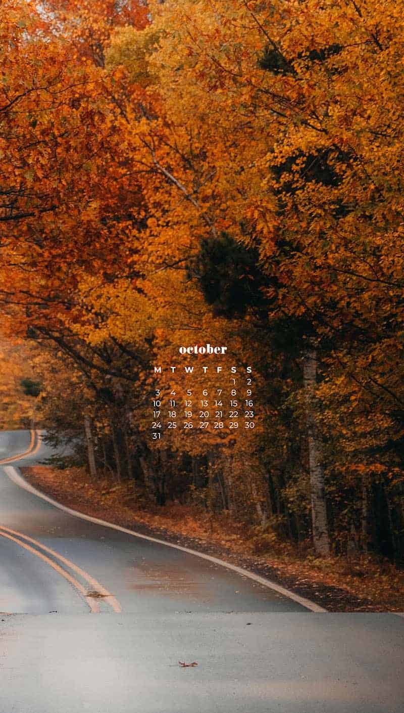 OCTOBER 2022 WALLPAPERS – 55 FREE PHONE &#038; DESKTOP CALENDARS, Oh So Lovely Blog