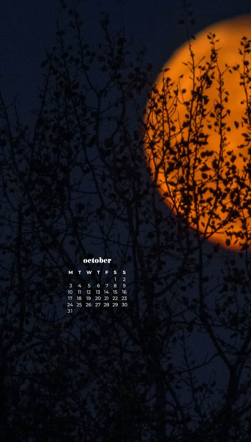 OCTOBER 2022 WALLPAPERS – 55 FREE PHONE &#038; DESKTOP CALENDARS, Oh So Lovely Blog