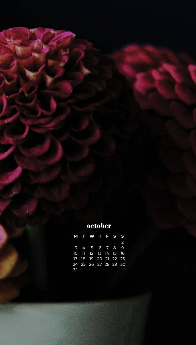 OCTOBER 2022 WALLPAPERS – 55 FREE PHONE &#038; DESKTOP CALENDARS, Oh So Lovely Blog