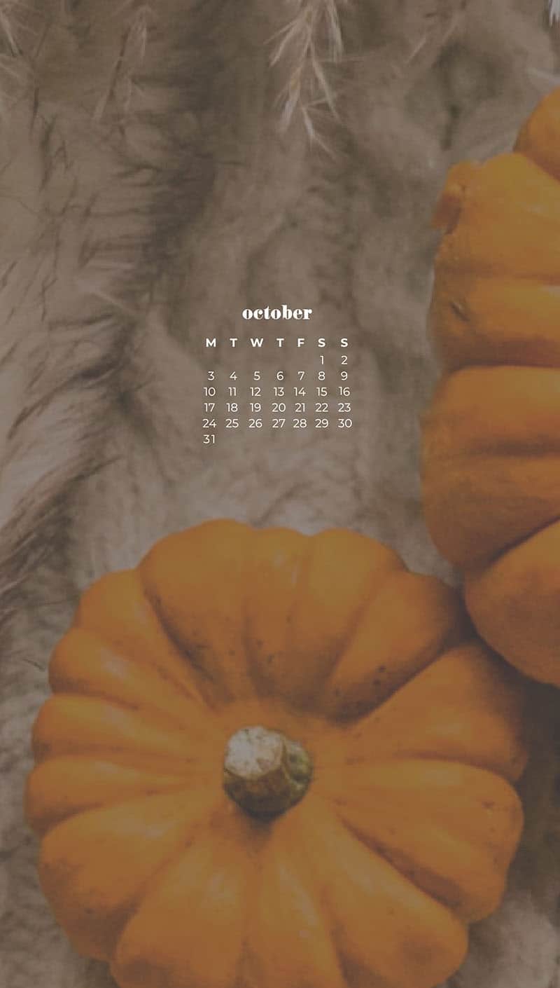 OCTOBER 2022 WALLPAPERS – 55 FREE PHONE &#038; DESKTOP CALENDARS, Oh So Lovely Blog