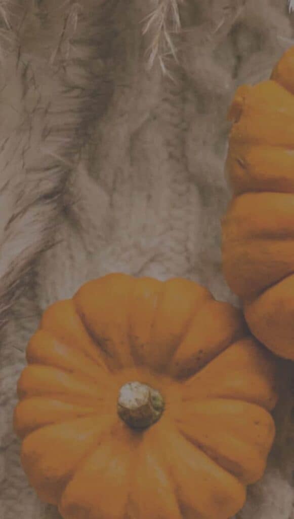 OCTOBER 2022 WALLPAPERS – 55 FREE PHONE &#038; DESKTOP CALENDARS, Oh So Lovely Blog