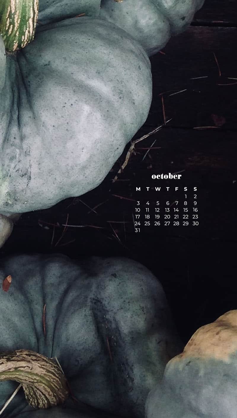 OCTOBER 2022 WALLPAPERS – 55 FREE PHONE &#038; DESKTOP CALENDARS, Oh So Lovely Blog