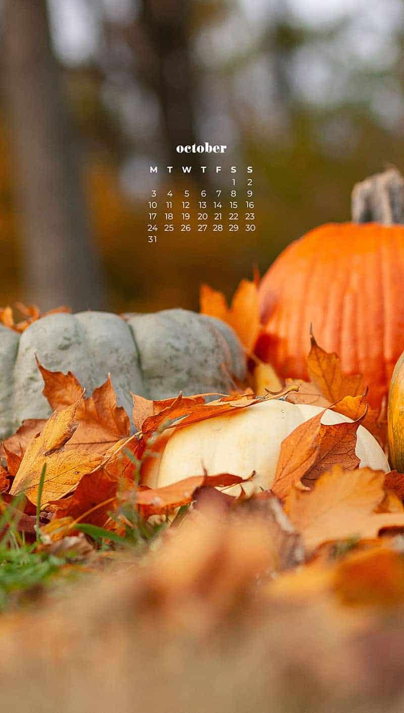 OCTOBER 2022 WALLPAPERS – 55 FREE PHONE &#038; DESKTOP CALENDARS, Oh So Lovely Blog